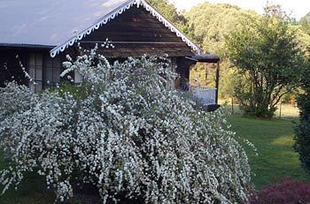 Madison's Mountain Retreat - Mackay Tourism 3