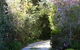 Hotel Avonleigh - thumb 15