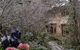 Hotel Avonleigh - thumb 56