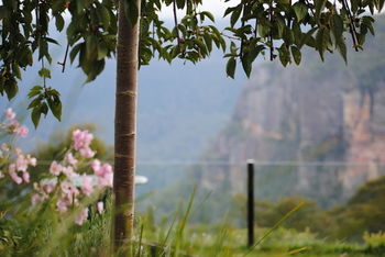Echoes Boutique Hotel And Restaurant - Mackay Tourism 13