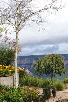 Echoes Boutique Hotel And Restaurant - Mackay Tourism 21