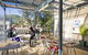 Cambridge Lodge - Hostel/Backpacker - thumb 8