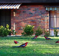 Crimson Villa - Mackay Tourism