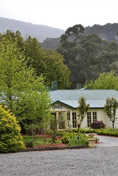 Best Western Yarra Valley - Mackay Tourism 0