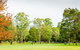 Retreat At Wisemans - thumb 17