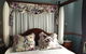 Kurrara Historic Guest House - thumb 37