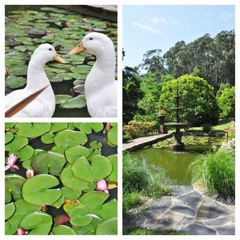 Brentwood Accommodation - Mackay Tourism 65