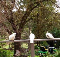 Australian Home Away  Wonga Park Brushy Creek - Mackay Tourism