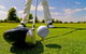 Motel Grande Tamworth - thumb 9