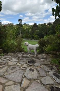 Coverdales B & B At Eumundi - Mackay Tourism 23
