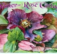 A Winter-rose Cottage BampB - Mackay Tourism