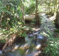 Treetops Accommodation Montville - Mackay Tourism