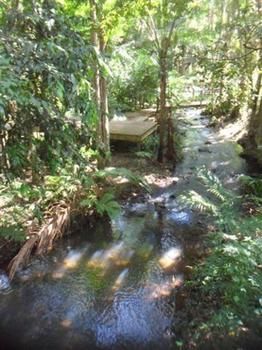 Treetops Accommodation Montville - Mackay Tourism 0