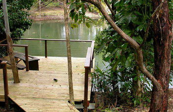 Treetops Accommodation Montville - Mackay Tourism 8