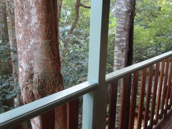 Treetops Accommodation Montville - Mackay Tourism 9