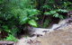 Treetops Accommodation Montville - thumb 11