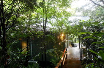 Treetops Accommodation Montville - Mackay Tourism 12