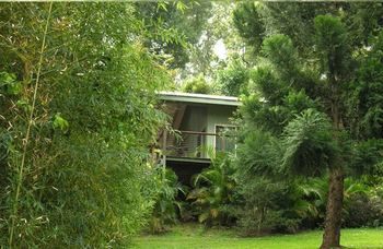 Treetops Accommodation Montville - Mackay Tourism 13