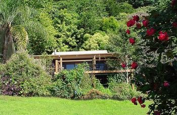 Treetops Accommodation Montville - Mackay Tourism 14