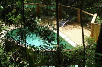 Treetops Accommodation Montville - Mackay Tourism 16