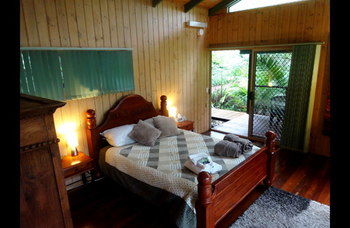 Treetops Accommodation Montville - Mackay Tourism 18
