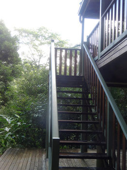 Treetops Accommodation Montville - Mackay Tourism 21