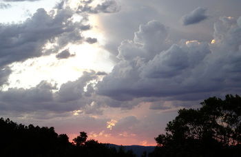 Treetops Accommodation Montville - Mackay Tourism 26