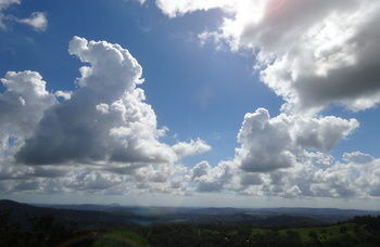 Treetops Accommodation Montville - Mackay Tourism 28