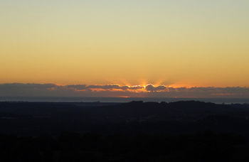 Treetops Accommodation Montville - Mackay Tourism 29