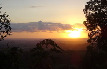 Treetops Accommodation Montville - Mackay Tourism 30