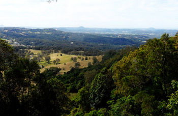 Treetops Accommodation Montville - Mackay Tourism 31