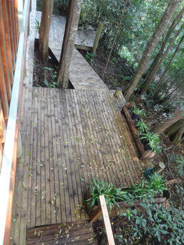 Treetops Accommodation Montville - Mackay Tourism 53