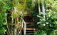 Treetops Accommodation Montville - thumb 54