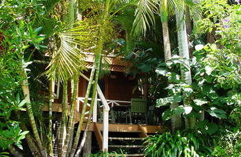 Treetops Accommodation Montville - Mackay Tourism 54