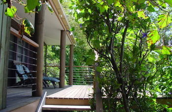 Treetops Accommodation Montville - Mackay Tourism 59