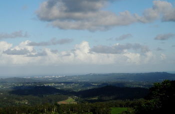 Treetops Accommodation Montville - Mackay Tourism 63