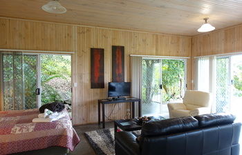 Treetops Accommodation Montville - Mackay Tourism 64