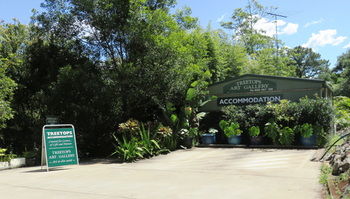 Treetops Accommodation Montville - Mackay Tourism 67