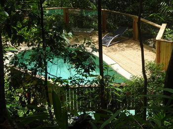 Treetops Accommodation Montville - Mackay Tourism 74