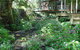 Treetops Accommodation Montville - thumb 76
