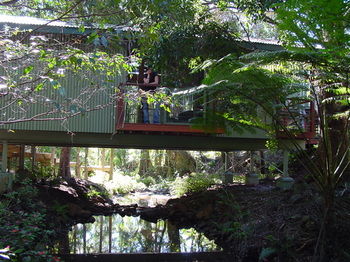Treetops Accommodation Montville - Mackay Tourism 87