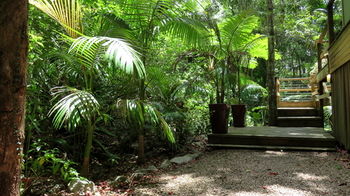 Treetops Accommodation Montville - Mackay Tourism 89