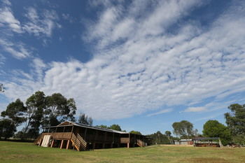 Hunter Valley YHA - Hostel - Mackay Tourism 20