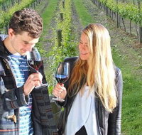 Valley Farm Vineyard Cottages - Mackay Tourism