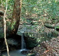 Montville Oceanview Cottages - Mackay Tourism