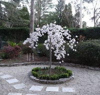 Corner Manor Leura - Mackay Tourism