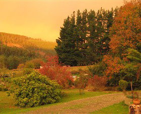 Lyrebird Cottage - Mackay Tourism 3