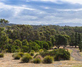 Catherine Lodge Farm Gate Cottages - Mackay Tourism 1
