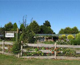 Blueberry B & B - Mackay Tourism 1
