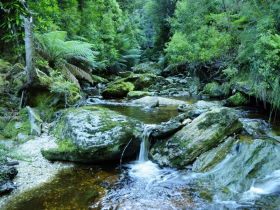 Tarkine Wilderness Experience At Corinna - Mackay Tourism 0